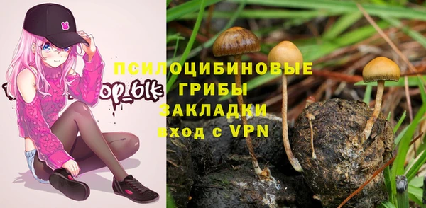 каннабис Алзамай
