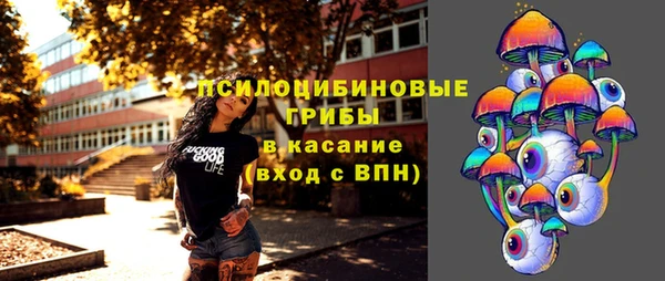 хмурый Абинск