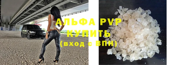 мет Алексин