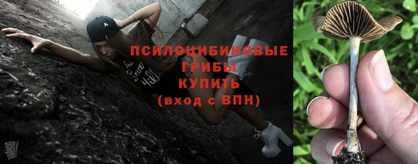 сатива Алексеевка