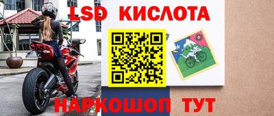 spice Славгород