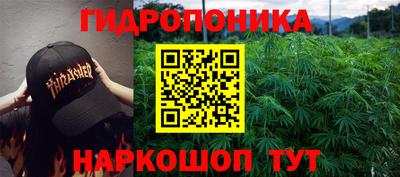 spice Славгород