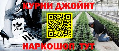 дживик Сланцы