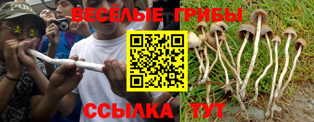 Нягань  Галлюциногенные грибы Cubensis  Псилоцибиновые грибы ЛСД  Вход с VPN 