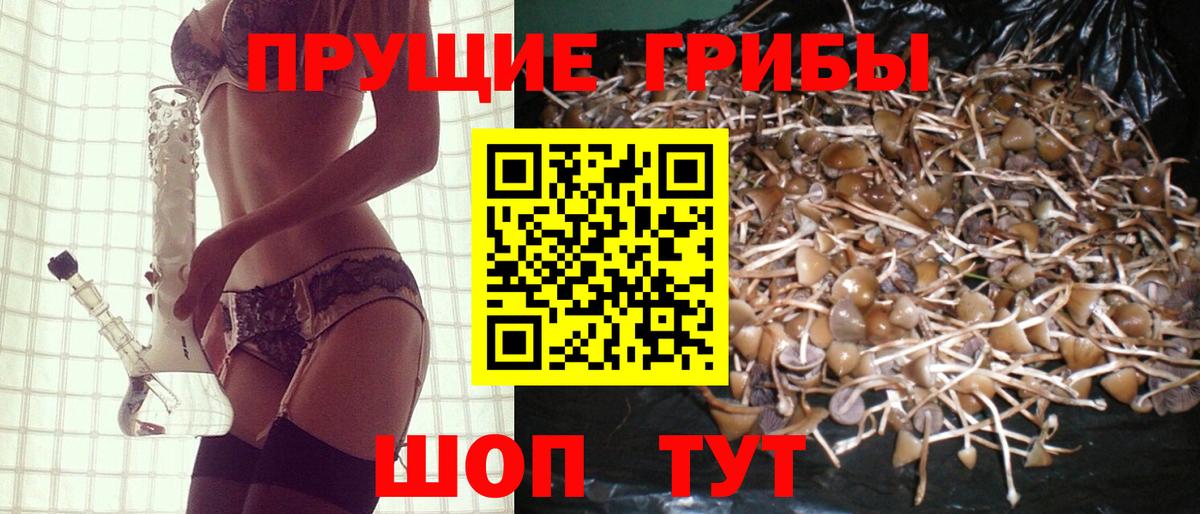 Псилоцибиновые грибы прущие грибы Нягань